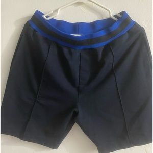 Men’s black and blue shorts. Size L. Good condition, lightly worn.